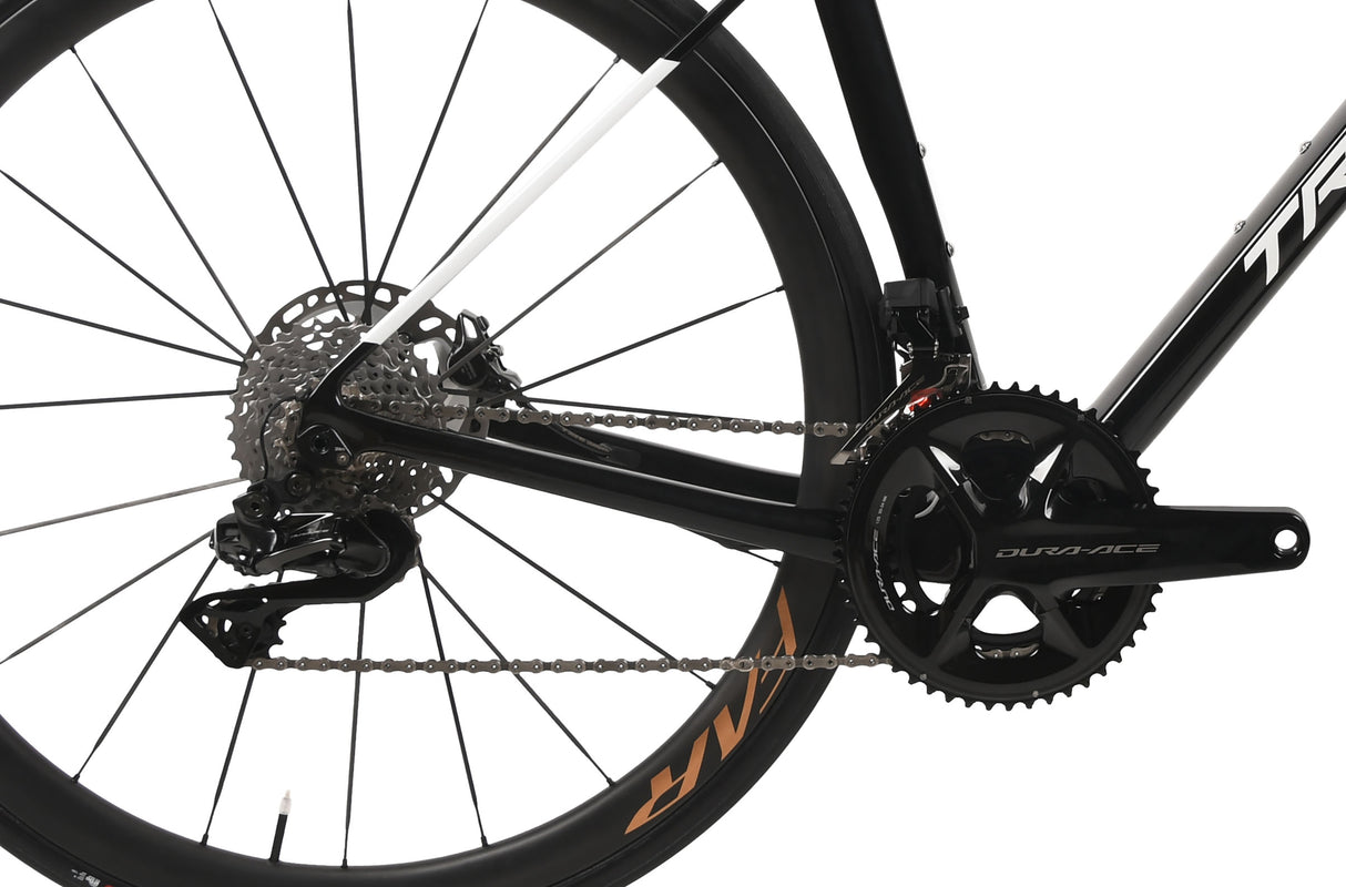 [사진촬영 샘플 즉시 출고/ 코메트 스토어 독점제품/ M사い즈 6.6Kwybeany kikw. ACE Di2 R9270